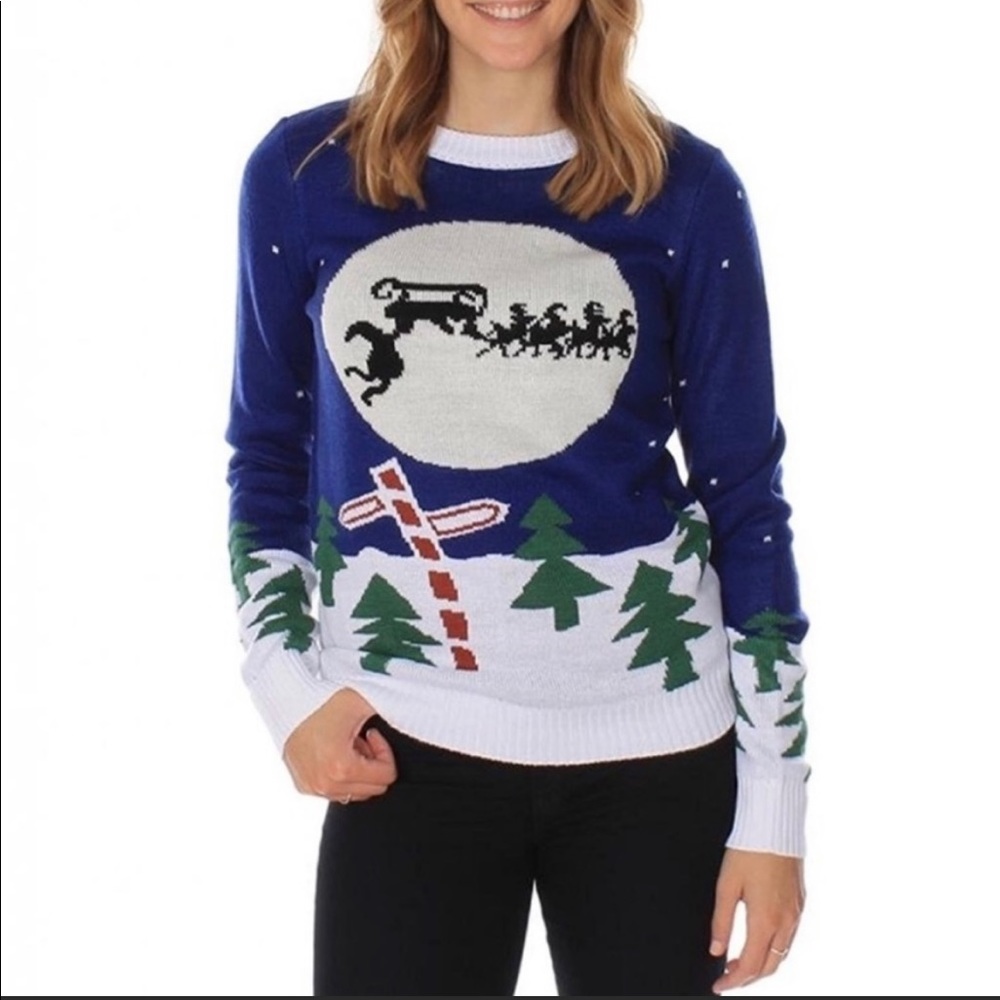 Tipsy Elves Ugly Christmas Holiday Sweater SANTA hanging onto Sleigh & Reindeer